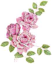 :rose rosa: